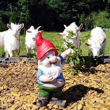 U Cezarego منتزه العطل *