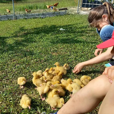 U Cezarego منتزه العطل