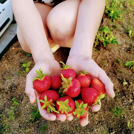 Vakantiepark U Cezarego *