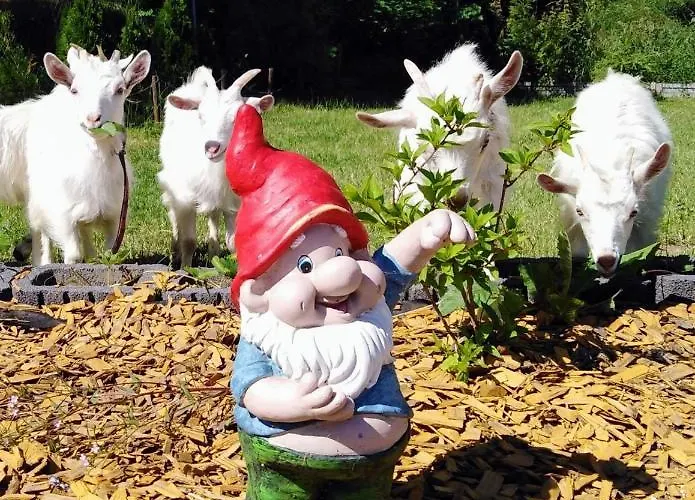 U Cezarego База отдыха *