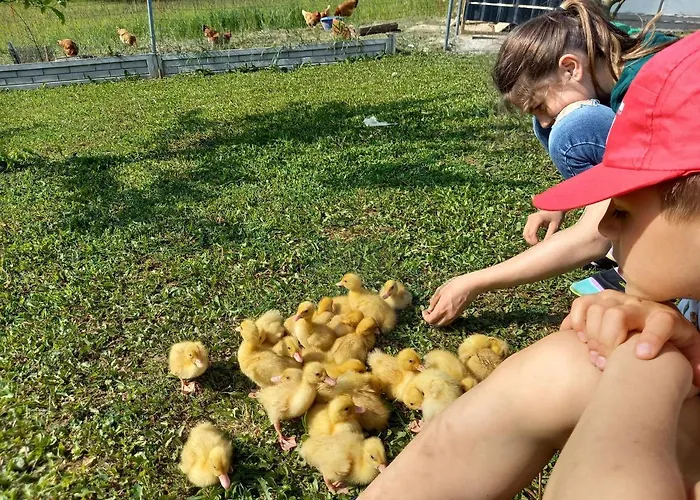 U Cezarego База отдыха