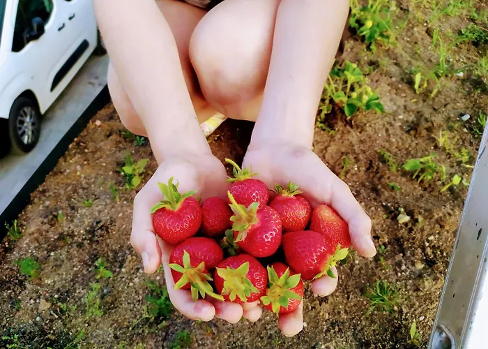 База отдыха U Cezarego *